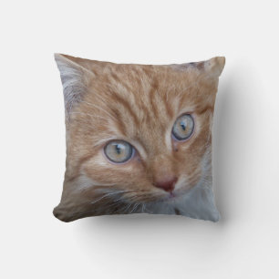 Rot und Weiß, langhaarig, Tabby-Katzen-Gesicht Kissen