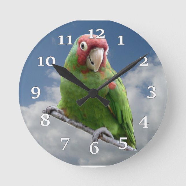 Rot verdeckte Parakeet-Wanduhr Runde Wanduhr (Vorderseite)