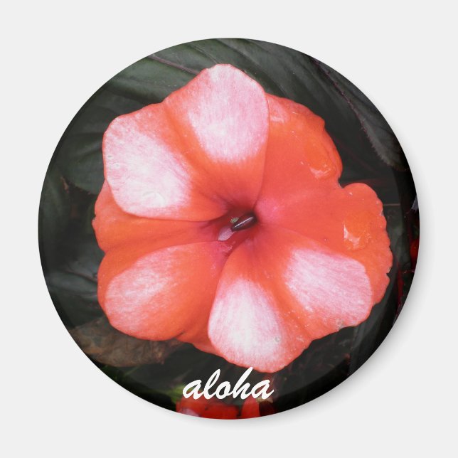 Rot-Weiß-Aloha Magnet (Vorne)