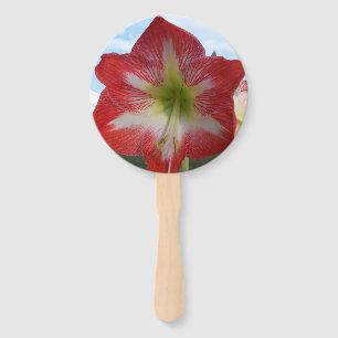 Rot-Weiß-Amaryllis-Blume gegen Himmel Fächer