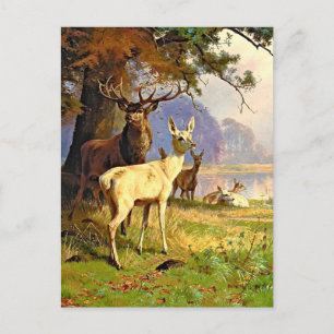 Rot-Weiß-Hirsch in der Nähe eines Waldteichs Postk Postkarte