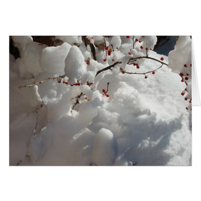 Rot, Weiß und Kälte (Vorderseite (Horizontal))