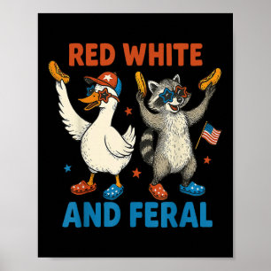 Rot Weiß Und Verwilderter Lustiger Waschbär & Dumm Poster