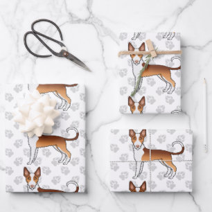Rot-weißer drahthaariger Ibizan-Hunderassenhund-Mu Geschenkpapier Set