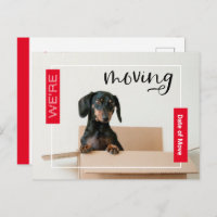Rot Wir bewegen Dackel Hund in Box Postcard