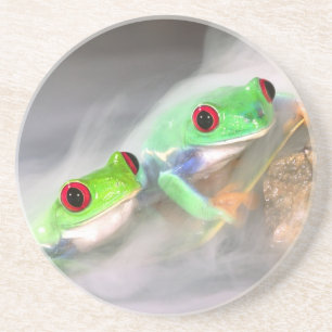 Rotaug-Laubfrosch im Nebel, Agalychinis 2 Untersetzer