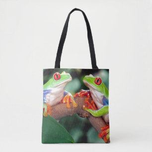 Rotaug-Laubfrosch-Paar, Agalychinis callidryas,