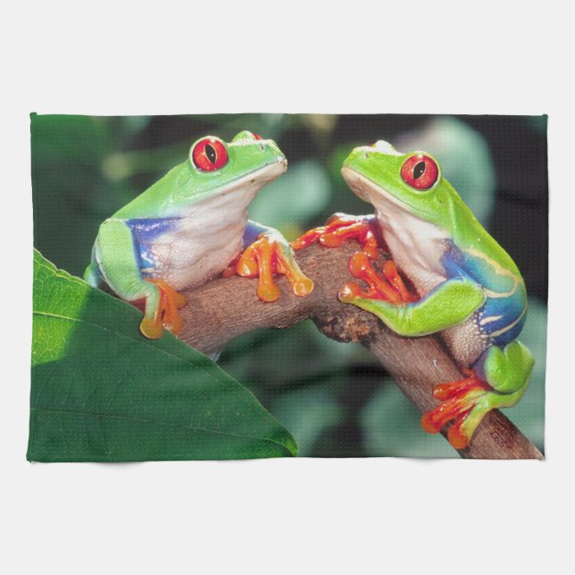 Rotaug-Laubfrosch-Paar, Agalychinis callidryas, Geschirrtuch (Horizontal)