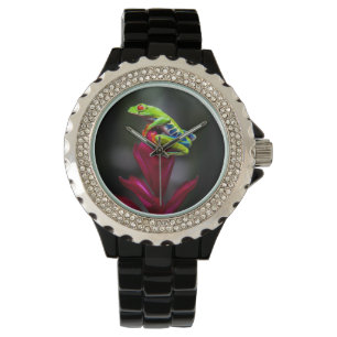 Rotaugelaubfrosch Armbanduhr