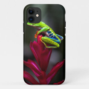 Rotaugelaubfrosch Case-Mate iPhone Hülle