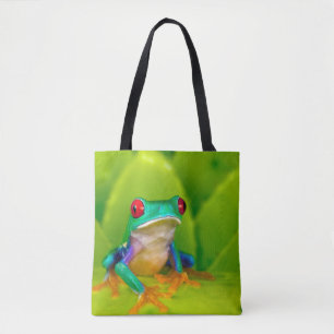 Rotaugelaubfrosch, Costa Rica
