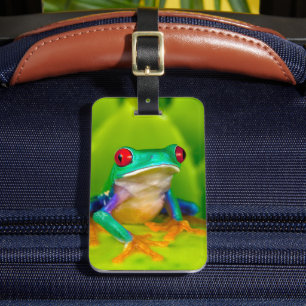 Rotaugelaubfrosch, Costa Rica Gepäckanhänger