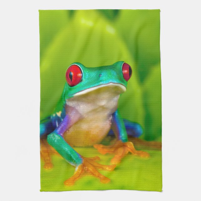 Rotaugelaubfrosch, Costa Rica Geschirrtuch (Vertikal)