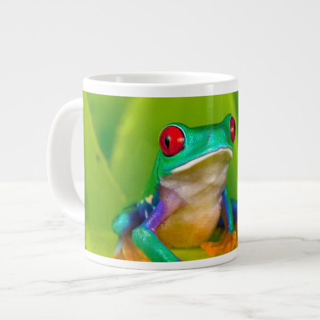 Rotaugelaubfrosch, Costa Rica Jumbo-Tasse (Vorderseite Links)