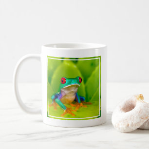 Rotaugelaubfrosch, Costa Rica Kaffeetasse