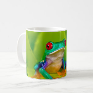 Rotaugelaubfrosch, Costa Rica Kaffeetasse