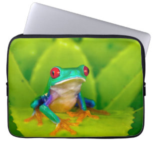 Rotaugelaubfrosch, Costa Rica Laptopschutzhülle