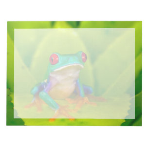 Rotaugelaubfrosch, Costa Rica Notizblock