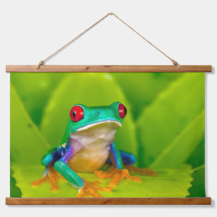 Rotaugelaubfrosch, Costa Rica Wandteppich Mit Holzrahmen