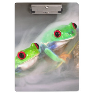 Rotaugelaubfrosch im Nebel, Agalychinis 2 Klemmbrett