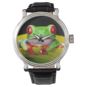 Rotaugen-Laubfrosch, Agalychinis callidryas, Einhe Armbanduhr