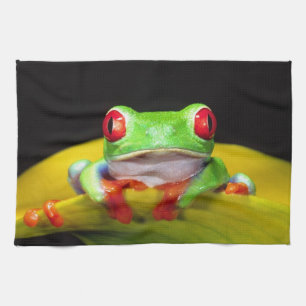 Rotaugen-Laubfrosch, Agalychinis callidryas, Einhe Handtuch