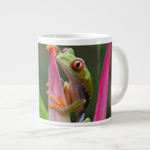 Rotaugen-Laubfrosch, Costa Rica Jumbo-Tasse