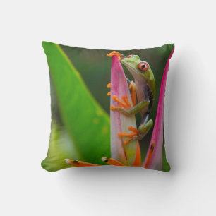 Rotaugen-Laubfrosch, Costa Rica Kissen