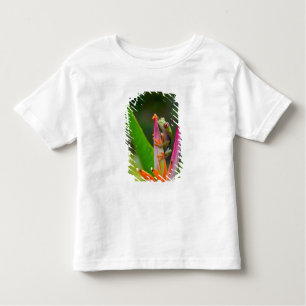 Rotaugenfrosch, Costa Rica Kleinkind T-shirt