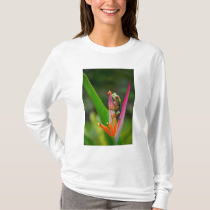 Rotaugenfrosch, Costa Rica T-Shirt