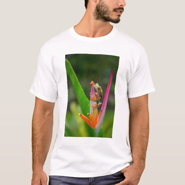 Rotaugenfrosch, Costa Rica T-Shirt (Vorderseite)