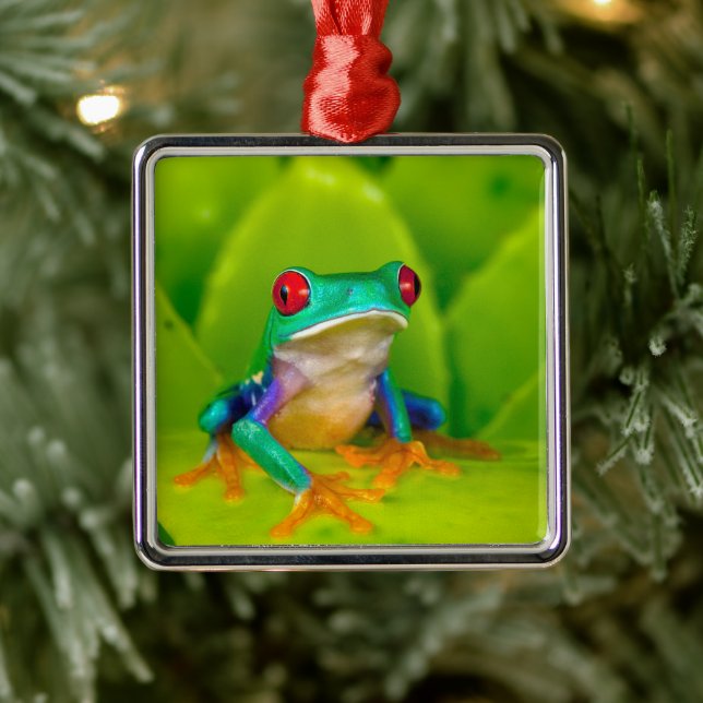 Rotaugenklaubfrosch, Costa Rica Ornament Aus Metall (Baum)