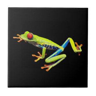 Rotäugiger Gemalter Laubfrosch Fliese