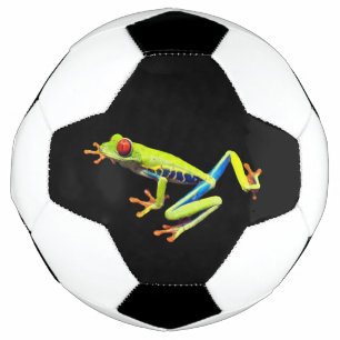 Rotäugiger Gemalter Laubfrosch  Fußball