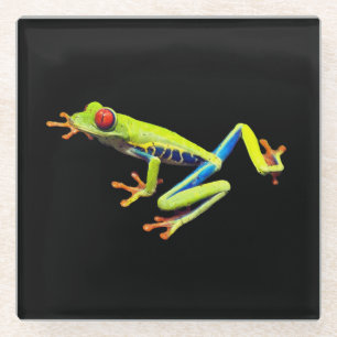 Rotäugiger Gemalter Laubfrosch Glasuntersetzer