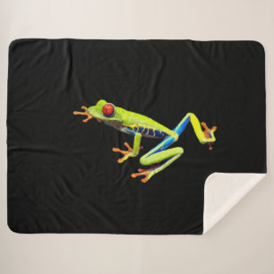 Rotäugiger Gemalter Laubfrosch Sherpadecke