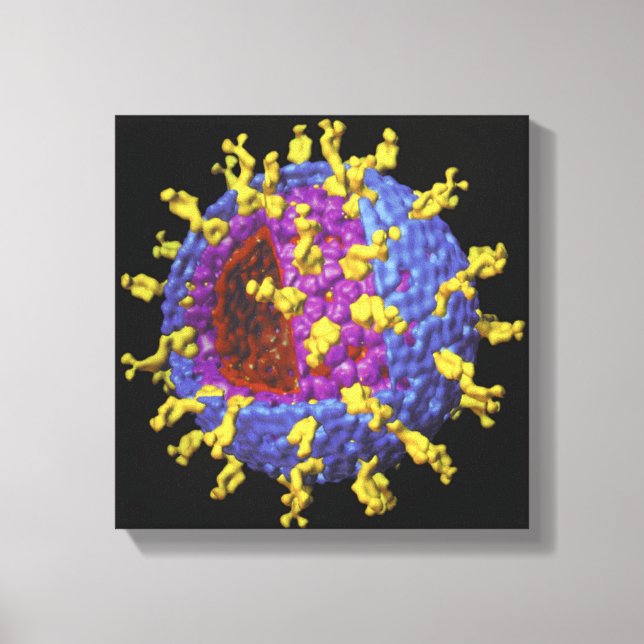 Rotavirus 2 leinwanddruck (Vorderseite)