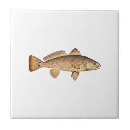 Rotbarsch-Logo Fliese