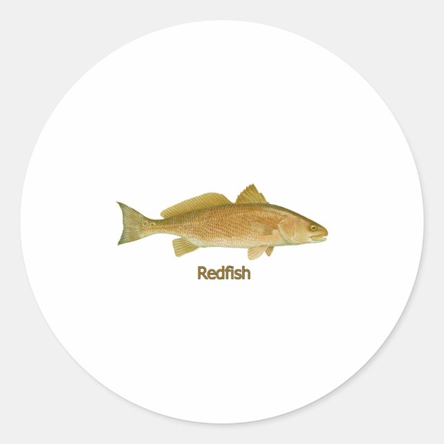 Rotbarsch (mit dem Titel) Runder Aufkleber (Vorderseite)