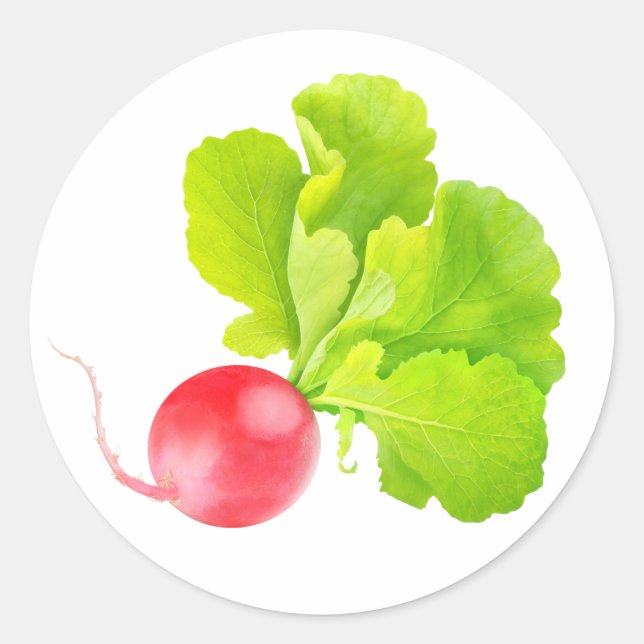 Rotbarsch Runder Aufkleber (Vorderseite)