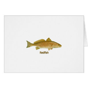 Rotbarsche (betitelt)