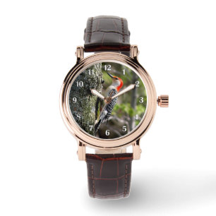 Rotbauchspecht Weiße Zahlen Armbanduhr
