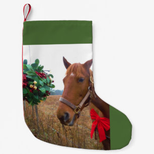 Rotbogen aus Mistleton und Braunpferd Kleiner Weihnachtsstrumpf