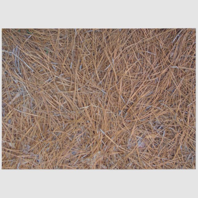 Rotbraune Kiefernstrohnadeln Foto Seidenpapier (Vorderseite)