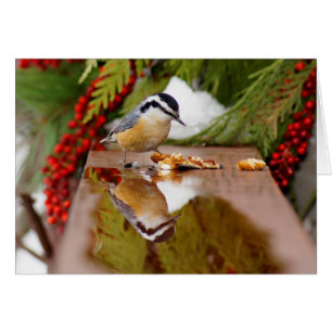 Rotbrüstiger Kleiber