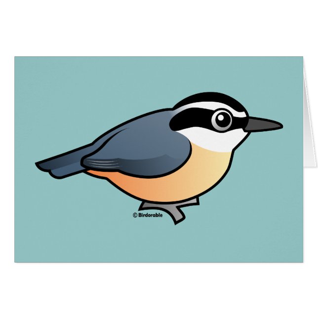 Rotbrüstiger Kleiber (Vorderseite (Horizontal))