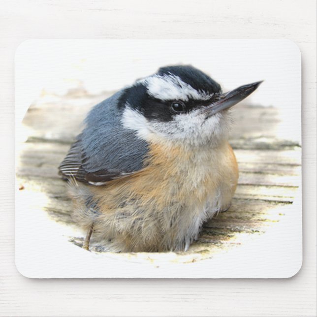 Rotbrüstiger Kleiber Mousepad (Vorne)