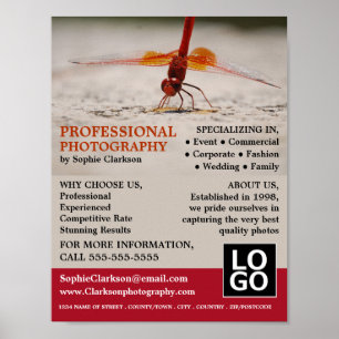 Rotdrachenfliege, Fotografie, Fotograf - Verleih Poster