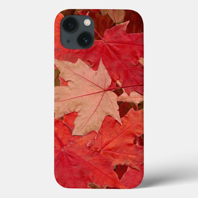 Rote Ahorn-Blätter Case-Mate iPhone Hülle (Rückseite)