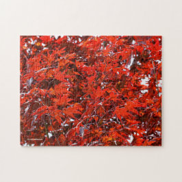 Rote Ahorn-Blätter Puzzle